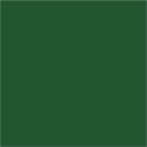 Neo Banana Leaf